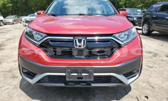 Acheter Neuf Voiture Honda CR–V Rouge à Lagos, État de Lagos Acheter Neuf Voiture Honda CR–V Rouge à Lagos, État de Lagos