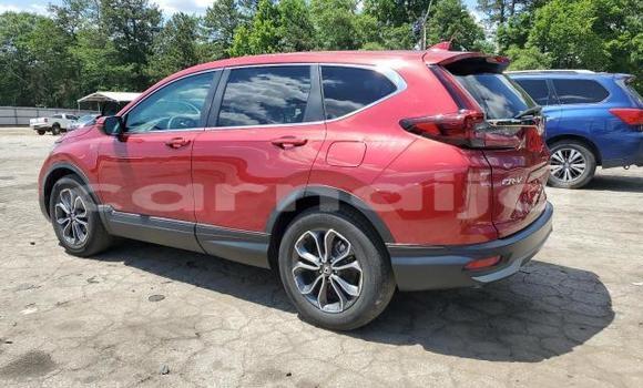 Acheter Neuf Voiture Honda CR–V Rouge à Lagos, État de Lagos Acheter Neuf Voiture Honda CR–V Rouge à Lagos, État de Lagos