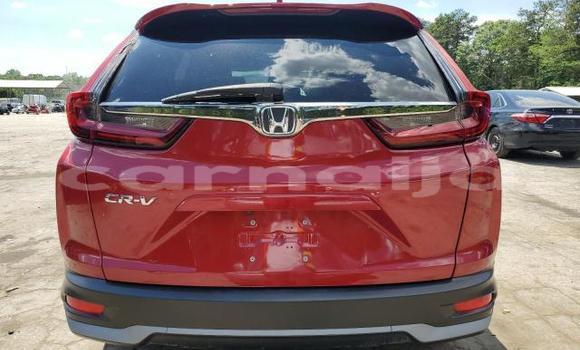 Acheter Neuf Voiture Honda CR–V Rouge à Lagos, État de Lagos Acheter Neuf Voiture Honda CR–V Rouge à Lagos, État de Lagos