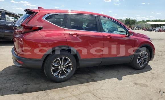 Acheter Neuf Voiture Honda CR–V Rouge à Lagos, État de Lagos Acheter Neuf Voiture Honda CR–V Rouge à Lagos, État de Lagos