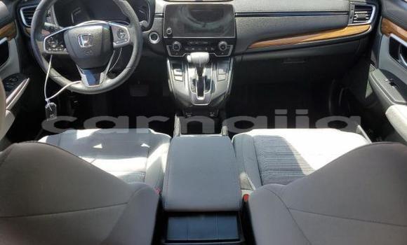 Acheter Neuf Voiture Honda CR–V Rouge à Lagos, État de Lagos Acheter Neuf Voiture Honda CR–V Rouge à Lagos, État de Lagos