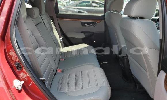 Acheter Neuf Voiture Honda CR–V Rouge à Lagos, État de Lagos Acheter Neuf Voiture Honda CR–V Rouge à Lagos, État de Lagos