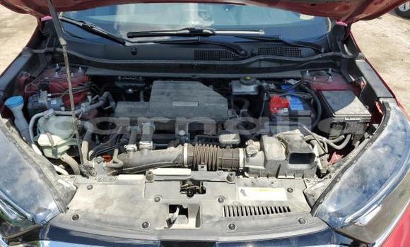 Acheter Neuf Voiture Honda CR–V Rouge à Lagos, État de Lagos Acheter Neuf Voiture Honda CR–V Rouge à Lagos, État de Lagos