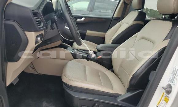 Acheter Neuf Voiture Ford Escape Blanc à Lagos, État de Lagos Acheter Neuf Voiture Ford Escape Blanc à Lagos, État de Lagos