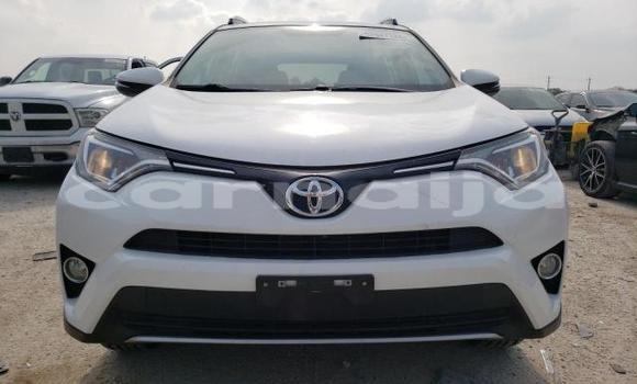 Acheter Neuf Voiture Toyota RAV4 Blanc à Lagos, État de Lagos Acheter Neuf Voiture Toyota RAV4 Blanc à Lagos, État de Lagos