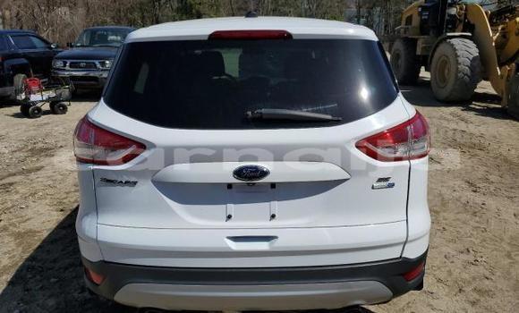 Acheter Neuf Voiture Ford Escape Blanc à Lagos, État de Lagos Acheter Neuf Voiture Ford Escape Blanc à Lagos, État de Lagos