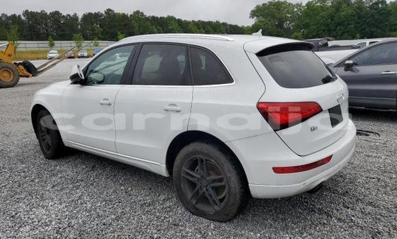 Acheter Neuf Voiture Audi Q5 Blanc à Lagos, État de Lagos Acheter Neuf Voiture Audi Q5 Blanc à Lagos, État de Lagos