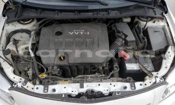 Acheter Neuf Voiture Toyota Corolla Blanc à Lagos, État de Lagos Acheter Neuf Voiture Toyota Corolla Blanc à Lagos, État de Lagos