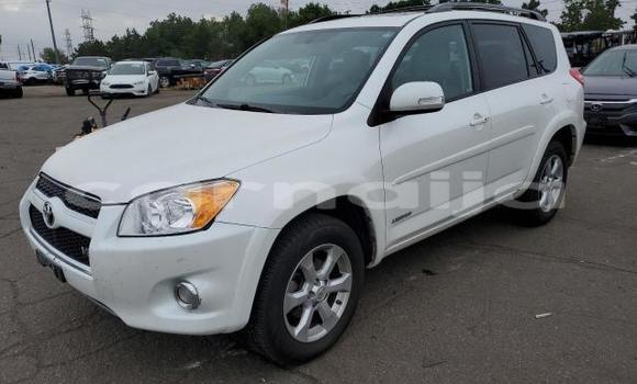 Acheter Neuf Voiture Toyota RAV4 Blanc à Lagos, État de Lagos Acheter Neuf Voiture Toyota RAV4 Blanc à Lagos, État de Lagos