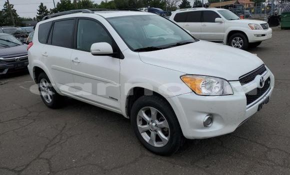 Acheter Neuf Voiture Toyota RAV4 Blanc à Lagos, État de Lagos Acheter Neuf Voiture Toyota RAV4 Blanc à Lagos, État de Lagos