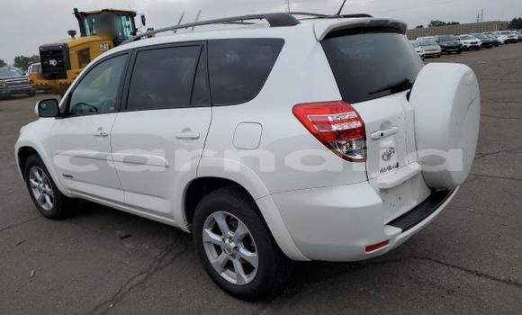 Acheter Neuf Voiture Toyota RAV4 Blanc à Lagos, État de Lagos Acheter Neuf Voiture Toyota RAV4 Blanc à Lagos, État de Lagos