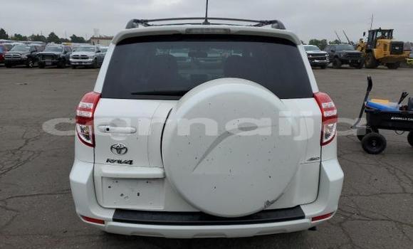 Acheter Neuf Voiture Toyota RAV4 Blanc à Lagos, État de Lagos Acheter Neuf Voiture Toyota RAV4 Blanc à Lagos, État de Lagos