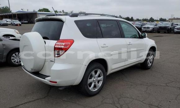 Acheter Neuf Voiture Toyota RAV4 Blanc à Lagos, État de Lagos Acheter Neuf Voiture Toyota RAV4 Blanc à Lagos, État de Lagos