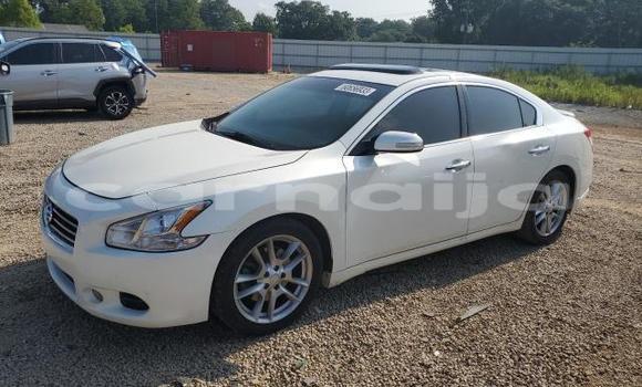 Buy New Nissan Maxima White Car in Lagos in Lagos State