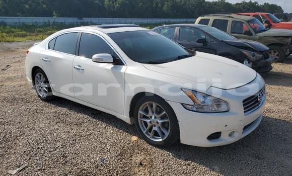 Acheter Neuf Voiture Nissan Maxima Blanc à Lagos, État de Lagos Acheter Neuf Voiture Nissan Maxima Blanc à Lagos, État de Lagos