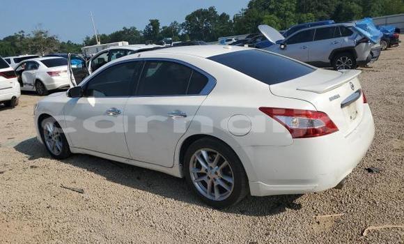 Acheter Neuf Voiture Nissan Maxima Blanc à Lagos, État de Lagos Acheter Neuf Voiture Nissan Maxima Blanc à Lagos, État de Lagos