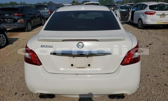 Acheter Neuf Voiture Nissan Maxima Blanc à Lagos, État de Lagos Acheter Neuf Voiture Nissan Maxima Blanc à Lagos, État de Lagos