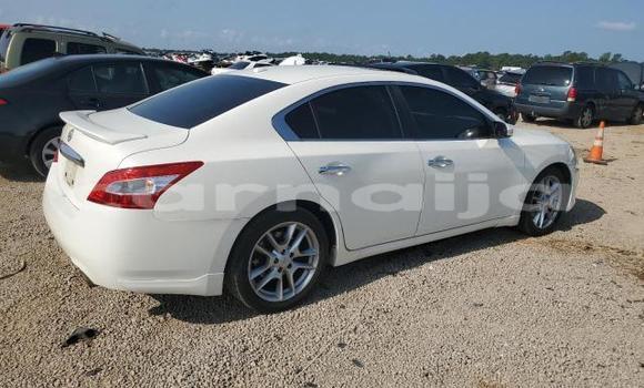 Acheter Neuf Voiture Nissan Maxima Blanc à Lagos, État de Lagos Acheter Neuf Voiture Nissan Maxima Blanc à Lagos, État de Lagos