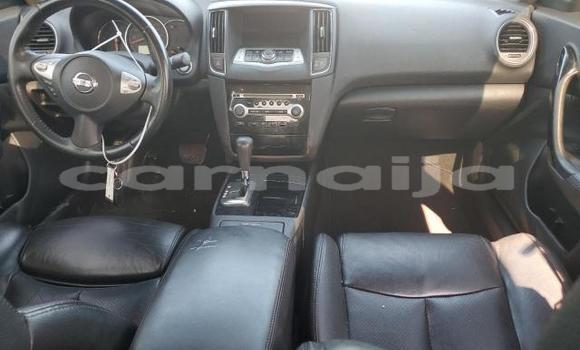 Acheter Neuf Voiture Nissan Maxima Blanc à Lagos, État de Lagos Acheter Neuf Voiture Nissan Maxima Blanc à Lagos, État de Lagos