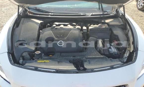 Acheter Neuf Voiture Nissan Maxima Blanc à Lagos, État de Lagos Acheter Neuf Voiture Nissan Maxima Blanc à Lagos, État de Lagos