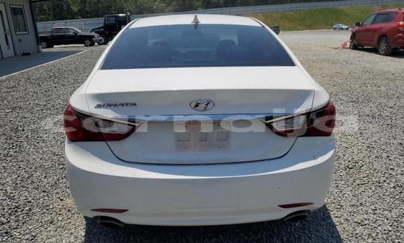 Acheter Neuf Voiture Hyundai Sonata Blanc à Lagos, État de Lagos Acheter Neuf Voiture Hyundai Sonata Blanc à Lagos, État de Lagos