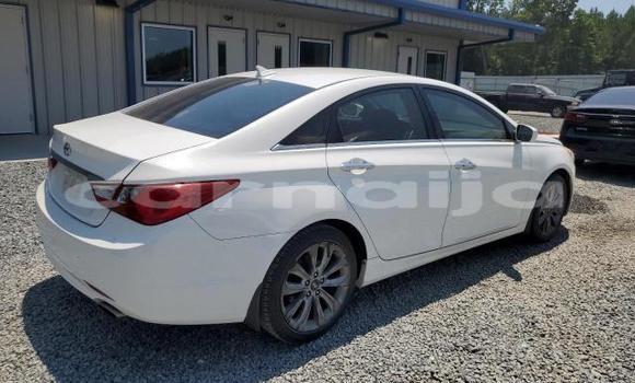 Acheter Neuf Voiture Hyundai Sonata Blanc à Lagos, État de Lagos Acheter Neuf Voiture Hyundai Sonata Blanc à Lagos, État de Lagos