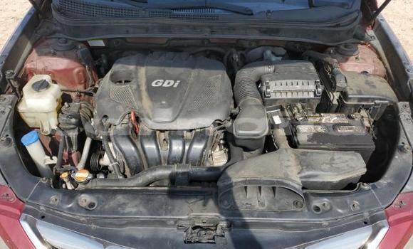 Acheter Neuf Voiture Hyundai Sonata Rouge à Lagos, État de Lagos Acheter Neuf Voiture Hyundai Sonata Rouge à Lagos, État de Lagos