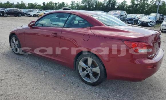 Acheter Neuf Voiture Lexus IS Rouge à Lagos, État de Lagos Acheter Neuf Voiture Lexus IS Rouge à Lagos, État de Lagos