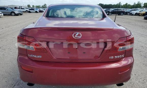 Acheter Neuf Voiture Lexus IS Rouge à Lagos, État de Lagos Acheter Neuf Voiture Lexus IS Rouge à Lagos, État de Lagos