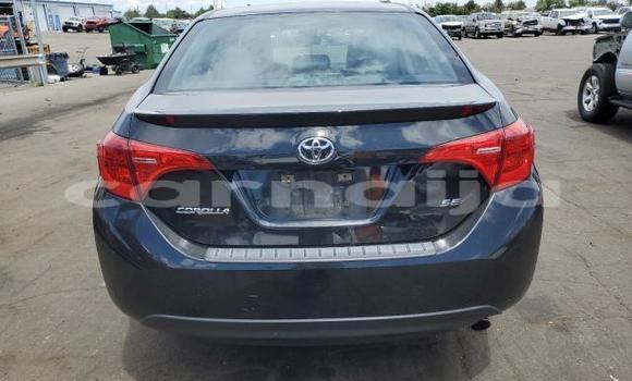 Acheter Neuf Voiture Toyota Corolla Noir à Lagos, État de Lagos Acheter Neuf Voiture Toyota Corolla Noir à Lagos, État de Lagos