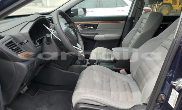 Acheter Neuf Voiture Honda CR–V Bleu à Lagos, État de Lagos Acheter Neuf Voiture Honda CR–V Bleu à Lagos, État de Lagos