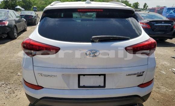 Acheter Neuf Voiture Hyundai Tucson Blanc à Lagos, État de Lagos Acheter Neuf Voiture Hyundai Tucson Blanc à Lagos, État de Lagos