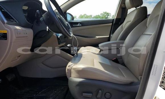 Acheter Neuf Voiture Hyundai Tucson Blanc à Lagos, État de Lagos Acheter Neuf Voiture Hyundai Tucson Blanc à Lagos, État de Lagos