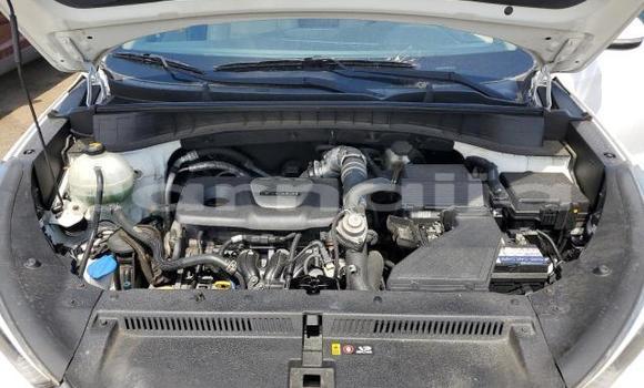 Acheter Neuf Voiture Hyundai Tucson Blanc à Lagos, État de Lagos Acheter Neuf Voiture Hyundai Tucson Blanc à Lagos, État de Lagos