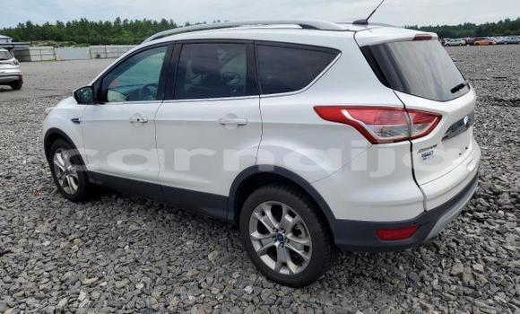 Acheter Neuf Voiture Ford Escape Blanc à Lagos, État de Lagos Acheter Neuf Voiture Ford Escape Blanc à Lagos, État de Lagos