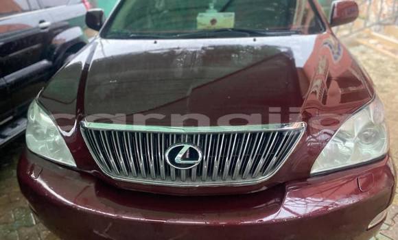 Buy Used Lexus RX 300 Other Car in Lagos in Lagos State