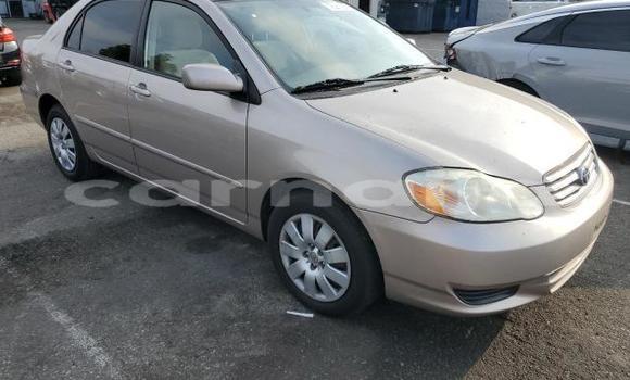Buy New Toyota Corolla Black Car in Lagos in Lagos State
