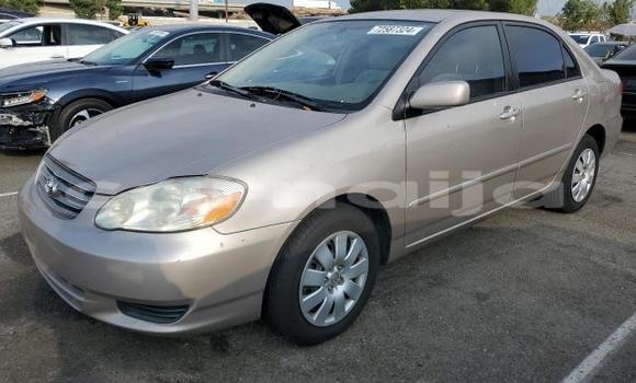 Acheter Neuf Voiture Toyota Corolla Noir à Lagos, État de Lagos Acheter Neuf Voiture Toyota Corolla Noir à Lagos, État de Lagos