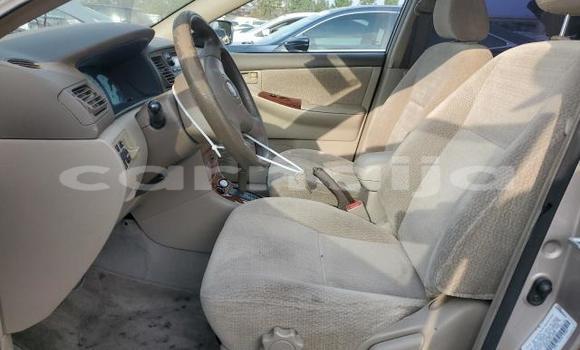 Acheter Neuf Voiture Toyota Corolla Noir à Lagos, État de Lagos Acheter Neuf Voiture Toyota Corolla Noir à Lagos, État de Lagos