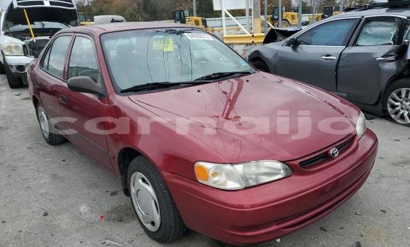 Acheter Neuf Voiture Toyota Corolla Rouge à Lagos, État de Lagos Acheter Neuf Voiture Toyota Corolla Rouge à Lagos, État de Lagos