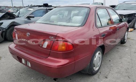 Acheter Neuf Voiture Toyota Corolla Rouge à Lagos, État de Lagos Acheter Neuf Voiture Toyota Corolla Rouge à Lagos, État de Lagos