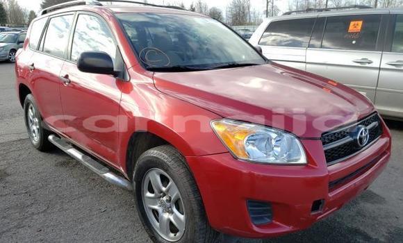Buy New Toyota RAV4 Red Car in Lagos in Lagos State