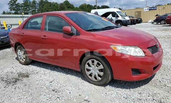 Buy New Toyota Corolla Red Car in Lagos in Lagos State
