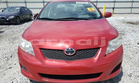 Acheter Neuf Voiture Toyota Corolla Rouge à Lagos, État de Lagos Acheter Neuf Voiture Toyota Corolla Rouge à Lagos, État de Lagos