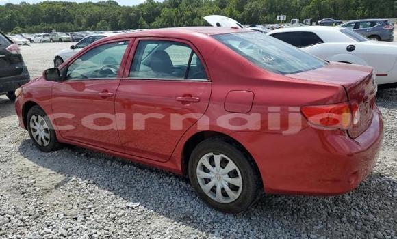 Acheter Neuf Voiture Toyota Corolla Rouge à Lagos, État de Lagos Acheter Neuf Voiture Toyota Corolla Rouge à Lagos, État de Lagos