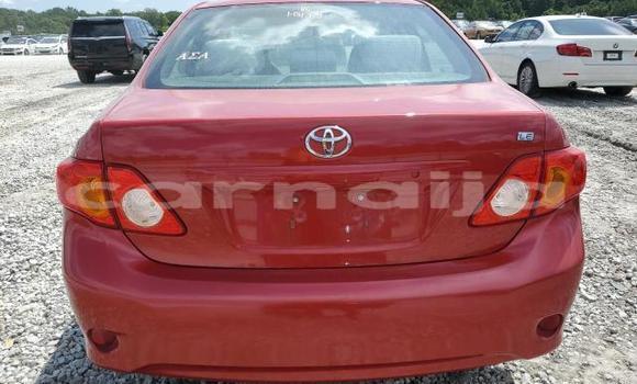 Acheter Neuf Voiture Toyota Corolla Rouge à Lagos, État de Lagos Acheter Neuf Voiture Toyota Corolla Rouge à Lagos, État de Lagos