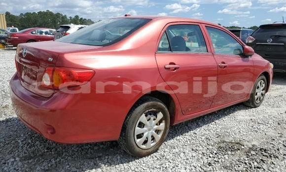 Acheter Neuf Voiture Toyota Corolla Rouge à Lagos, État de Lagos Acheter Neuf Voiture Toyota Corolla Rouge à Lagos, État de Lagos