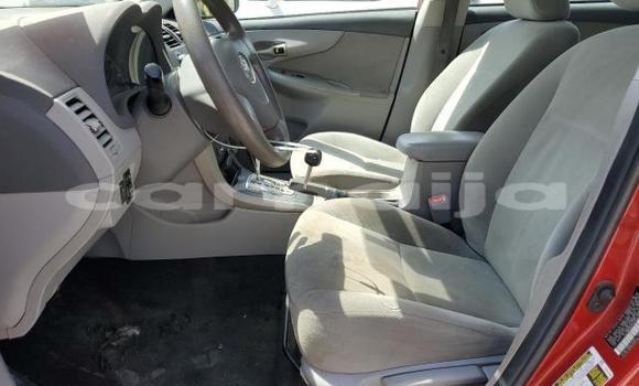 Acheter Neuf Voiture Toyota Corolla Rouge à Lagos, État de Lagos Acheter Neuf Voiture Toyota Corolla Rouge à Lagos, État de Lagos