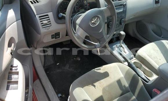 Acheter Neuf Voiture Toyota Corolla Rouge à Lagos, État de Lagos Acheter Neuf Voiture Toyota Corolla Rouge à Lagos, État de Lagos
