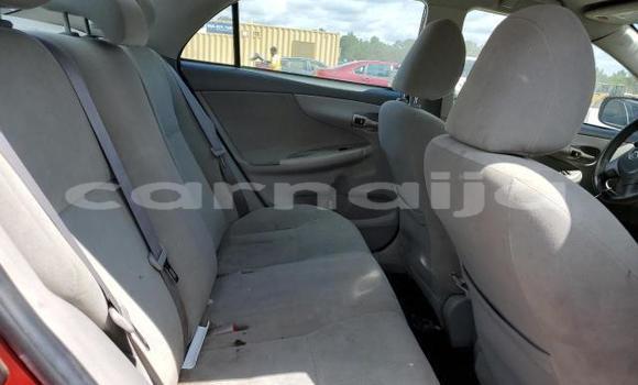 Acheter Neuf Voiture Toyota Corolla Rouge à Lagos, État de Lagos Acheter Neuf Voiture Toyota Corolla Rouge à Lagos, État de Lagos